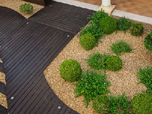 Gecko Gardens