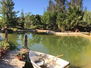 6 day healing retreat