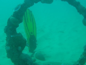 Blue Ocean Divers