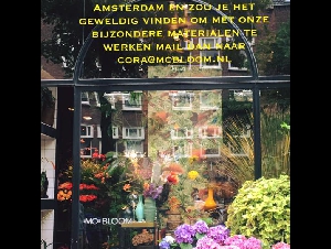 MC BLOOM