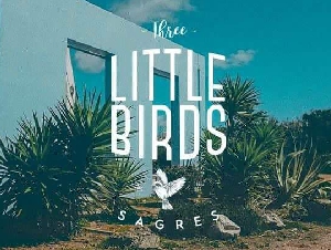 Three Little Birds