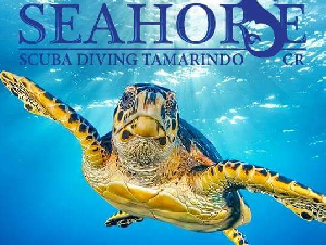SEAHORSE RESORT AND DIVE CENTER