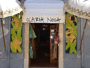 OLARIA NOVA