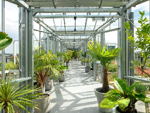 ZOKU AMSTERDAM
