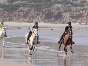 Quinta Paraiso Alto