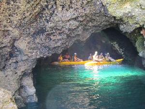 Kayak & Snorkel Trips