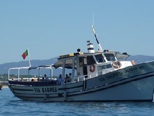 Actual Boat Trips
