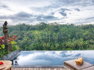 Black Penny Villas Ubud