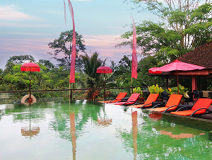 Jungle Retreat