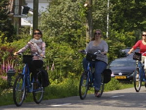 Mikes Bike Tours